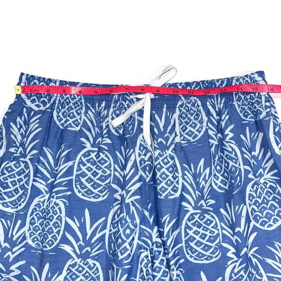 Chubbies The Thigh-Napples Blue Pineapple 5.5” Swim Trunks Size L - Picture 14 of 16